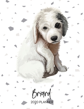Briard 2020 Planner: Dated Weekly Diary With To Do Notes & Dog Quotes (Awesome Calendar Planners for Dog Owners - Pedigree Puppy Breeds)