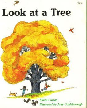 Paperback Look at a Tree Book
