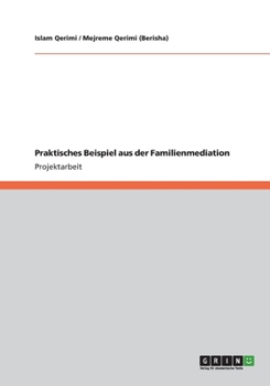 Paperback Praktisches Beispiel aus der Familienmediation [German] Book