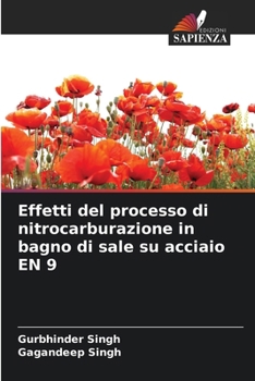 Paperback Effetti del processo di nitrocarburazione in bagno di sale su acciaio EN 9 [Italian] Book