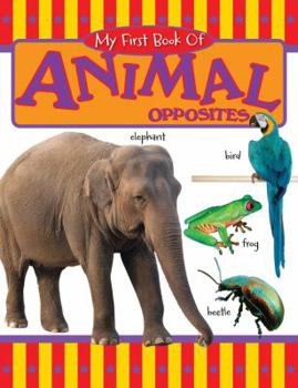 Board book My First Book of Animal Opposites Book