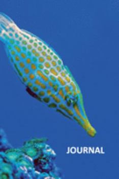 Journal: Orange spotted filefish Cool Bullet Journal Dot Grid Daily Planner Student for researching best place to buy aquarium plants