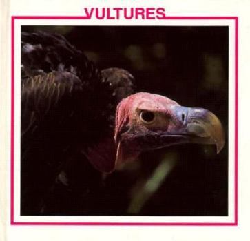 Hardcover Vultures Book
