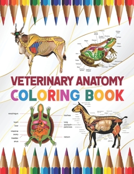 Paperback Veterinary Anatomy Coloring Book: A Collection of Fun and Easy Veterinary Anatomy Coloring Pages for Kids, Toddlers and Preschool. Handbook of Veterin Book
