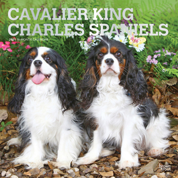 Calendar Cavalier King Charles Spaniels 2021 Square Foil Book