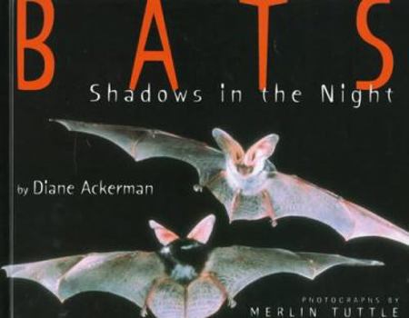 Hardcover Bats: Shadows in the Night Book