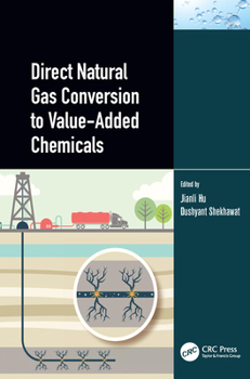 Paperback Direct Natural Gas Conversion to Value-Added Chemicals Book