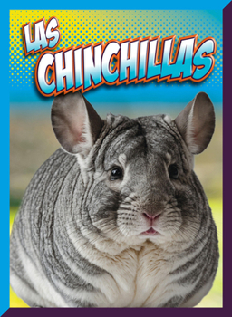 Las chinchillas