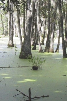 Paperback Magic in the Swampwaters of Louisiana Book