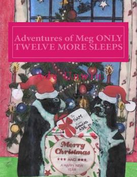 Paperback Adventures of Meg ONLY TWELVE MORE SLEEPS Book