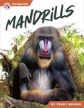 Mandrills (Primates)