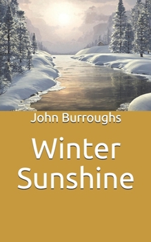 Winter Sunshine
