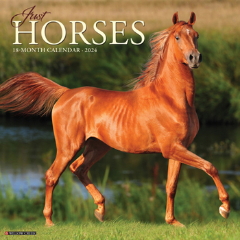 Calendar Just Horses 2024 12 X 12 Wall Calendar Book