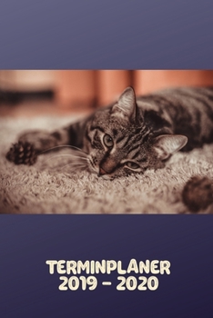 Terminplaner 2019 - 2020: Wochenplaner Taschenkalender Terminkalender und Kalender 2019 2020 Wochenplaner und Monatsplaner von Oktober 2019 bis Dezember 2020 Hauskatze Liebe