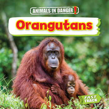 Paperback Orangutans Book