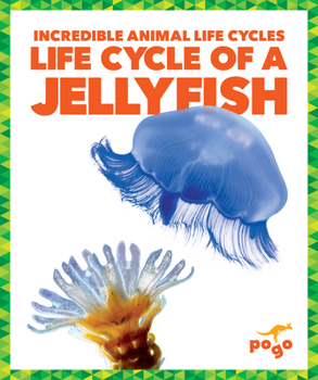 Paperback Life Cycle of a Jellyfish Book