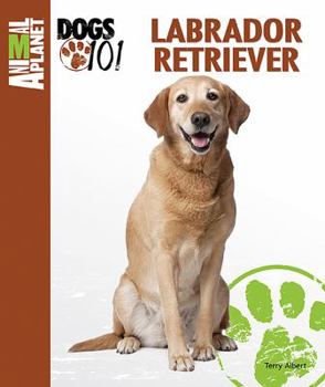Labrador Retriever - Book  of the Animal Planet Dogs 101