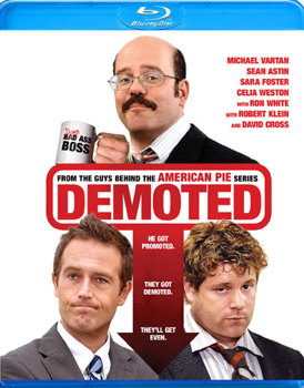 Blu-ray Demoted Book