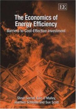 Hardcover The Economics of Energy Efficiency: Barriers to Cost-Effective Investment Book