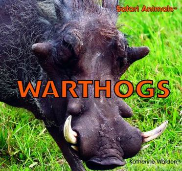 Warthogs - Book  of the Safari Animals