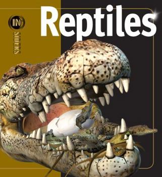 Hardcover Reptiles Book