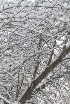 Paperback Llibrus 5, 6, y 7, de Xunomada (Spanish Edition) [Spanish] Book