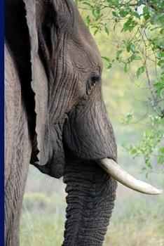 Mein schönes Elefanten Notizbuch (German Edition)