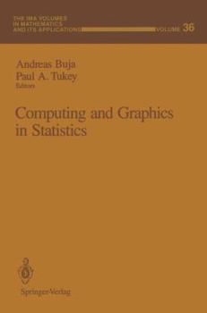 Hardcover Computing and Graphics in Statistics (The IMA Volumes in Mathematics and its Applications) Book