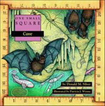 Cave - Book  of the One Small Square