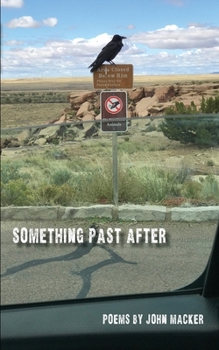 Paperback Something Past After Book