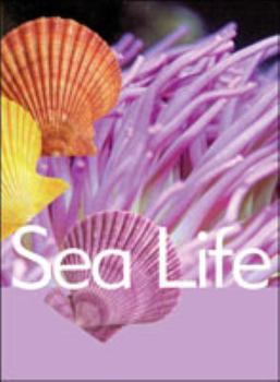 Hardcover Sea Life (Ocean Facts) Book