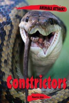 Library Binding Constrictors Book