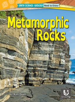 Paperback Metamorphic Rocks Book