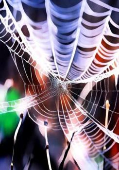 Paperback Halloween Activity Book