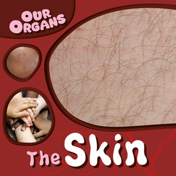 Paperback The Skin Book