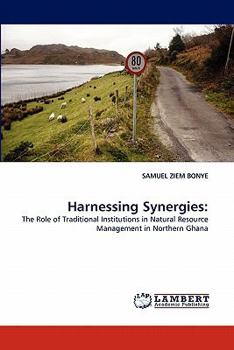Paperback Harnessing Synergies Book
