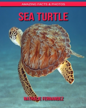 Sea turtle: Amazing Facts & Photos