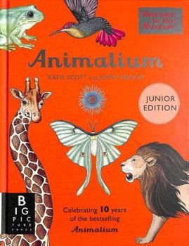 Hardcover Animalium (Junior Edition) (Welcome To The Museum) Book