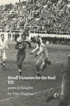 Paperback Small Victories for the Soul VII Book