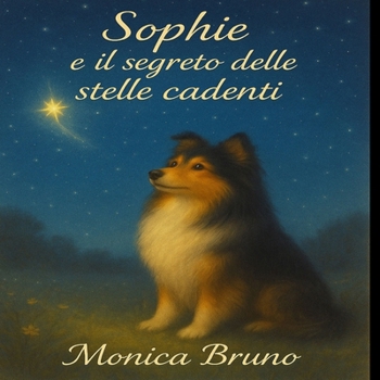 Paperback Sophie e il segreto delle stelle cadenti [Italian] Book