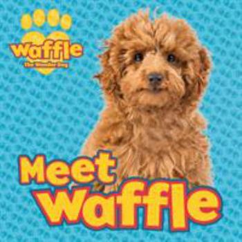 Paperback Meet Waffle! (Waffle the Wonder Dog) Book