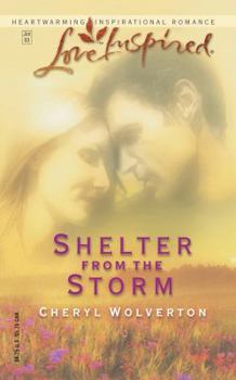 Shelter from the Storm - Book #2 of the Everyday Heroes