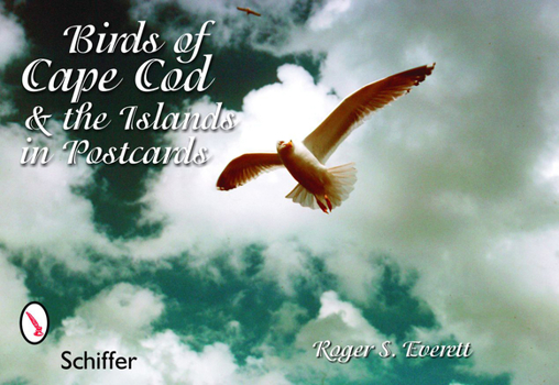Gift Birds of Cape Cod & the Islands in Postcards Book