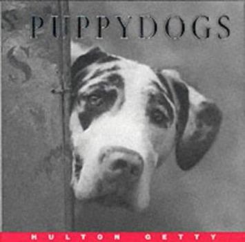 Hardcover Puppy Dogs Book