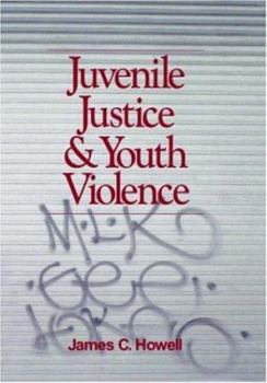 Hardcover Juvenile Justice and Youth Violence Book