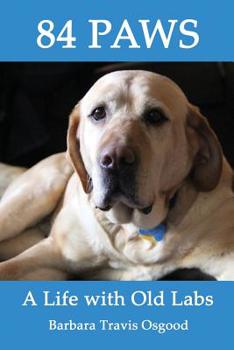 Paperback 84 Paws: A Life with Old Labs Book