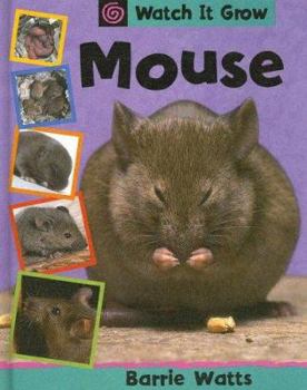 Library Binding Mouse Book