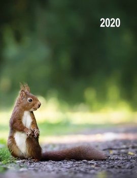 Low Vision 2020 Daily Planner : Daily Planner for Visually Impaired with Large Print and Bold Lines on White Paper