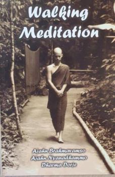 Paperback Walking Meditation Book