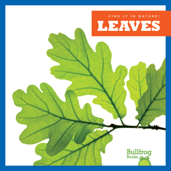 Library Binding Leaves Book